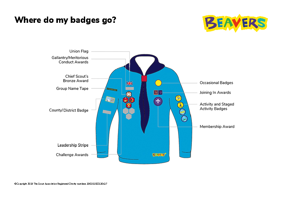 Beaver-Badge-Placement