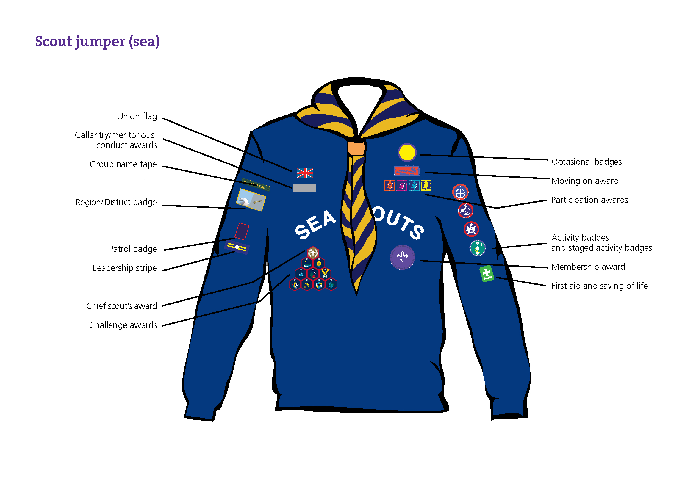 Scout-Badge-Placement